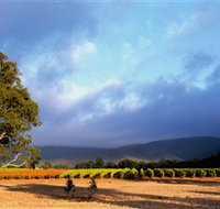 Mount Avoca - ACT Tourism