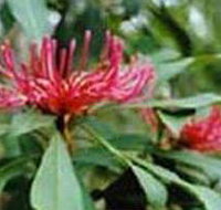 Alfred National Park - ACT Tourism