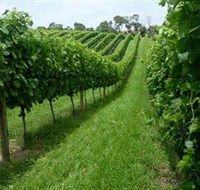 The Cups Estate - ACT Tourism