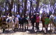 Bellarine Horse Riding Centre - thumb 0