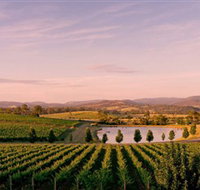 Oakridge Wines - ACT Tourism