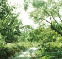 Holey Plains State Park - ACT Tourism