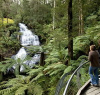 Great Otway National Park - ACT Tourism