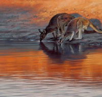 Steve Morvell Wildlife Art - ACT Tourism