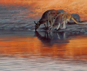 Steve Morvell Wildlife Art - ACT Tourism 0
