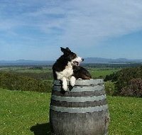 Windy Ridge Vineyard and Winery - ACT Tourism
