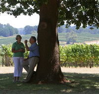 Five Oaks Vineyard - ACT Tourism