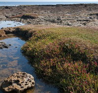 Ricketts Point Marine Sanctuary - ACT Tourism