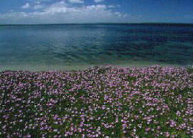 Gippsland VIC ACT Tourism