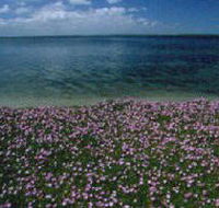The Lakes National Park - ACT Tourism