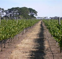 Mount Beckworth Wines - ACT Tourism
