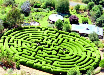Wandiligong VIC ACT Tourism