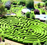 Wandiligong Maze - ACT Tourism