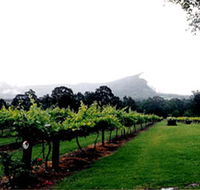 Cambewarra Estate Wines - ACT Tourism