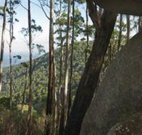 Gulaga National Park - ACT Tourism