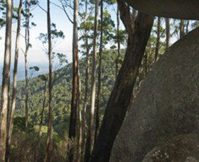 Gulaga National Park - ACT Tourism 0