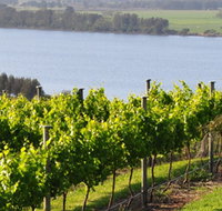 Two Figs Winery - ACT Tourism