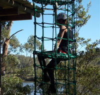 Trees Adventure Shoalhaven - ACT Tourism
