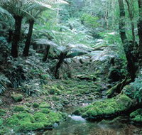 Deua National Park - ACT Tourism