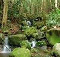 Budderoo National Park - ACT Tourism