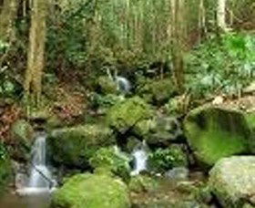Budderoo National Park - ACT Tourism 0
