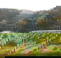 Tilba Valley Wines - ACT Tourism