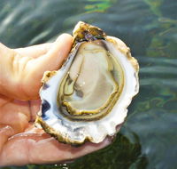 The Oyster Pot - ACT Tourism
