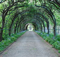 Foxglove Spire Gardens - ACT Tourism