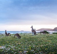 Pebbly Beach - ACT Tourism