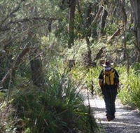 Barren Grounds Nature Reserve - ACT Tourism