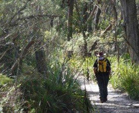 Barren Grounds Nature Reserve - ACT Tourism 0