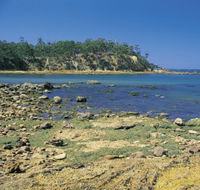 Aslings Beach - ACT Tourism