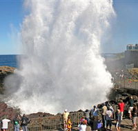 Kiama Blowhole - ACT Tourism