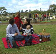 Blackbutt Forest Reserve - ACT Tourism