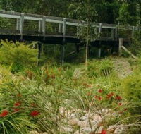 Eurobodalla Botanic Gardens - ACT Tourism