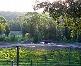 Lyrebird Ridge Organic Winery - ACT Tourism 0
