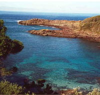 Bass Point Reserve - ACT Tourism