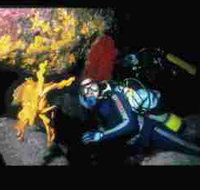 Solitary Islands Marine Park - ACT Tourism