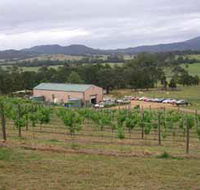 Villa d Esta Vineyard - ACT Tourism
