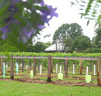 Douglas Vale Historic Homestead  Vineyard - ACT Tourism