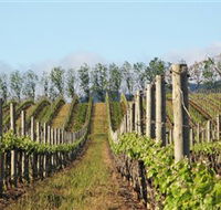 Philip Shaw Wines - ACT Tourism