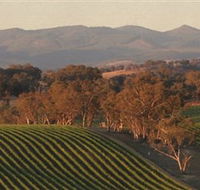 Angullong Wines - ACT Tourism