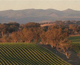 Angullong Wines - ACT Tourism 0