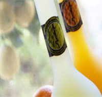 Ambra Limoncello - ACT Tourism