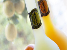 Ambra Limoncello - ACT Tourism 0