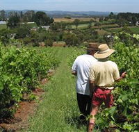 Sir Paz Estate - ACT Tourism