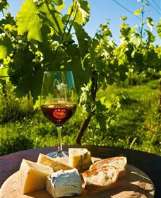 King River Estate - ACT Tourism 3