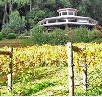 Peveril Vineyard/Beechy Berries - ACT Tourism