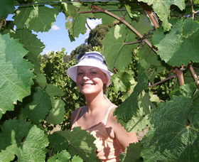 Harcourt Valley Vineyards - ACT Tourism 5