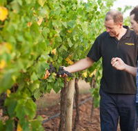 Fratin Brothers Vineyard - ACT Tourism